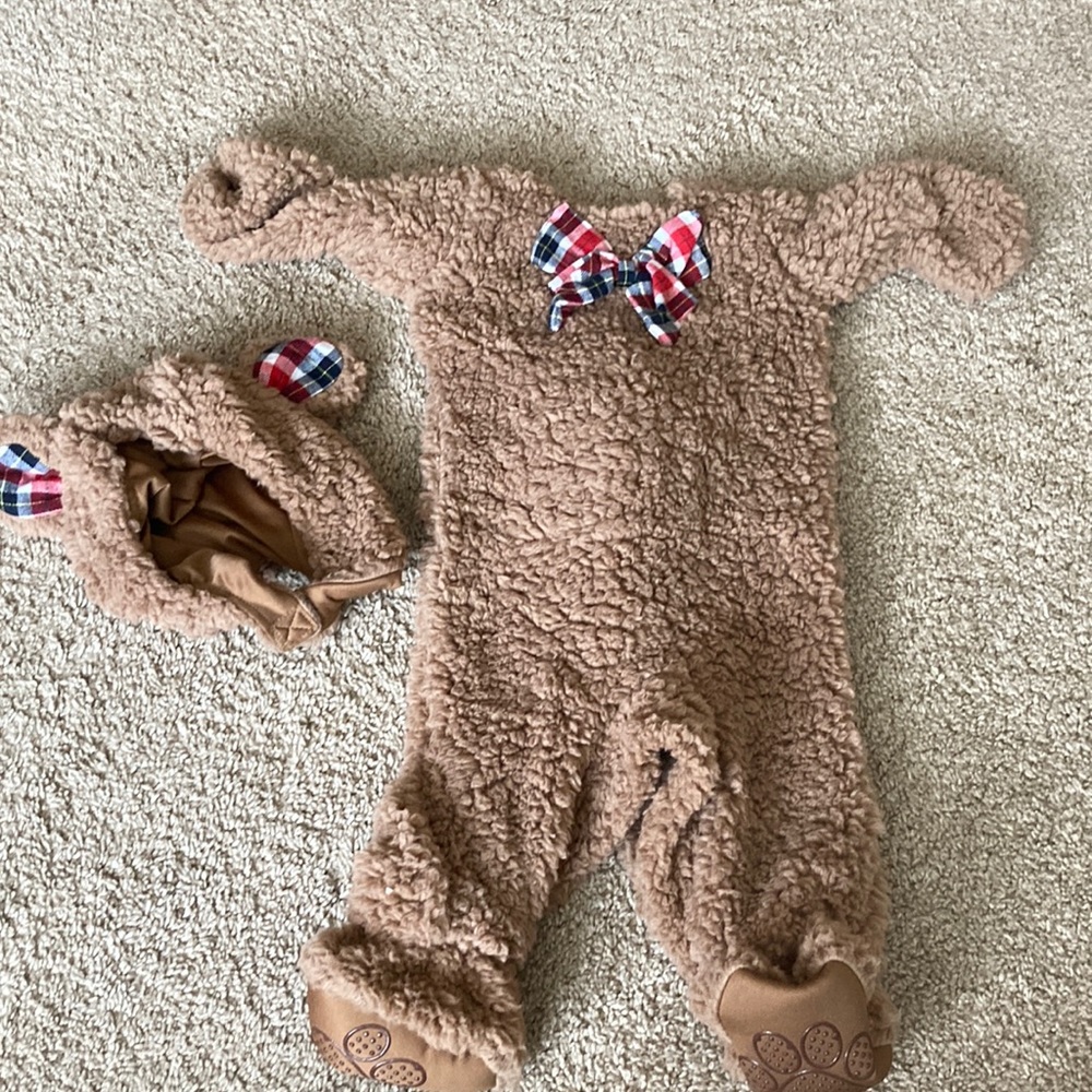Spirit Teddy Bear Costume 0-6M